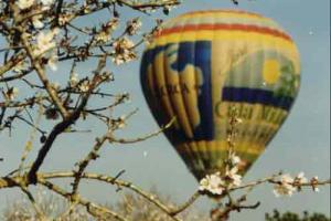 finca, globo, mallorca balloons, ballooning, balloons, globos, aerostatos, vuelos, hotel, palma, exclusivo, precio, almendros en flor, san valentin, celebrar, aniversarios, pedidas de mano